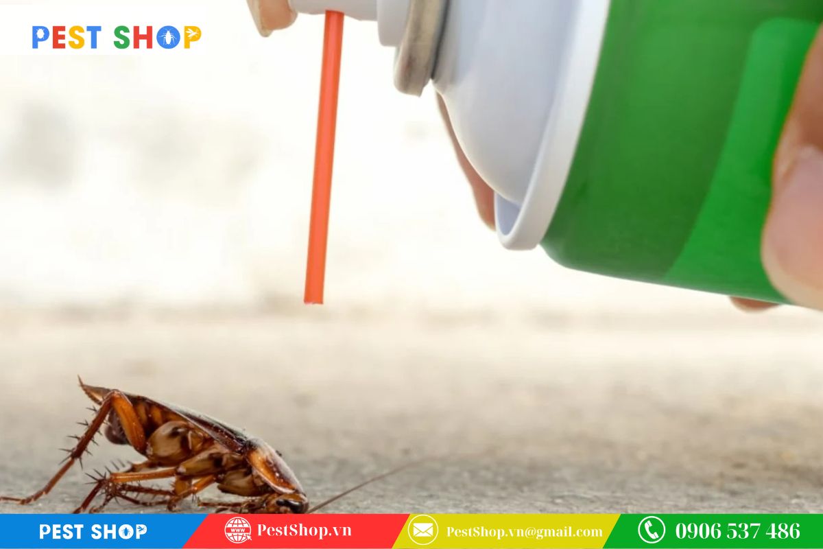 tai sao dung thuoc xit gian thuong khong hieu qua 7 Kết hợp phương pháp vệ sinh môi trường và chặn đứng nguồn nước