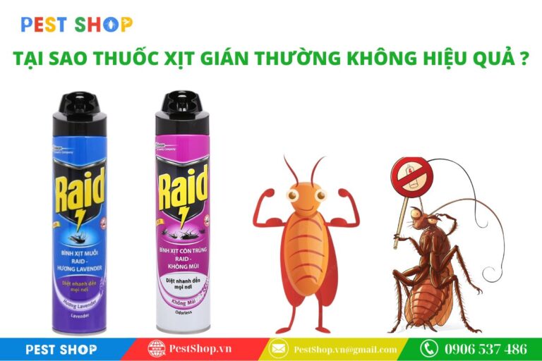tại sao dùng thuốc xịt gián thường không hiệu quả