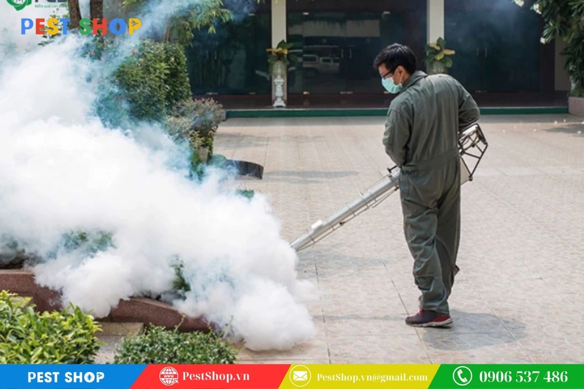 Phun thuốc sai thời điểm hoạt động của muỗi