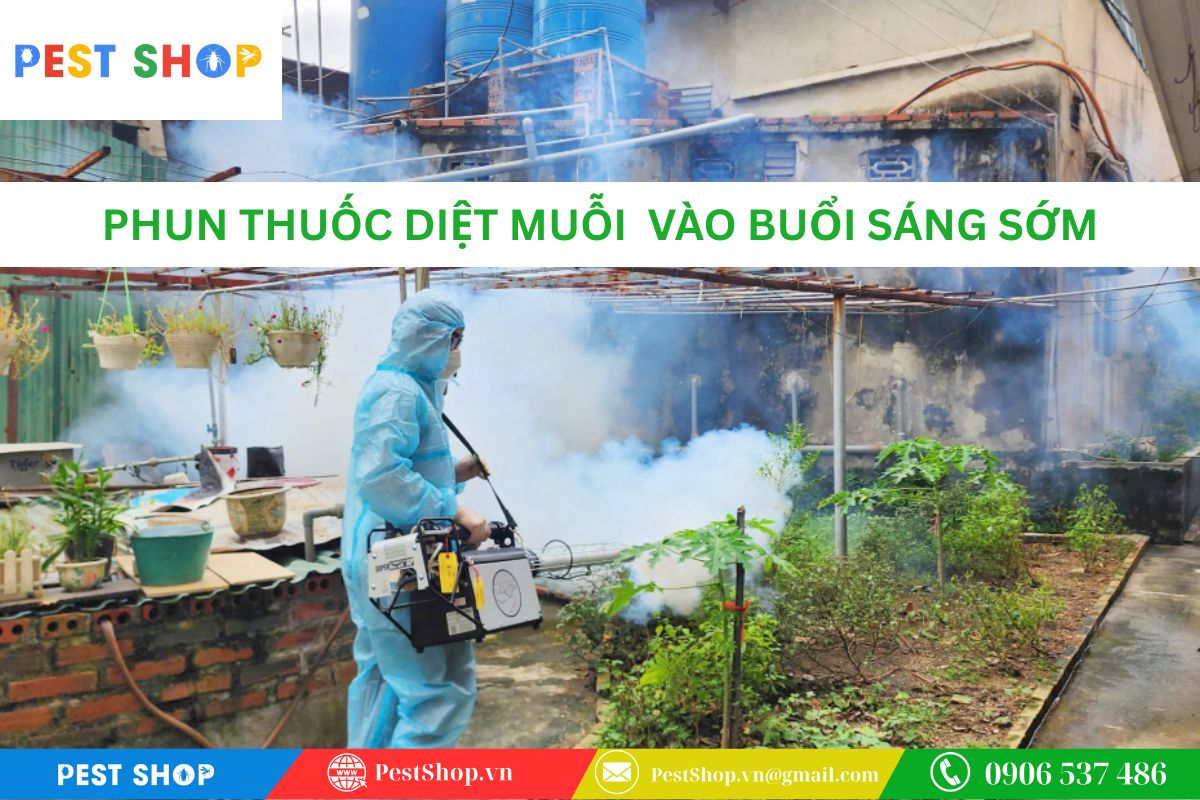 Phun thuốc diệt muỗi aedes phòng sốt xuất huyết vào buổi sáng sớm