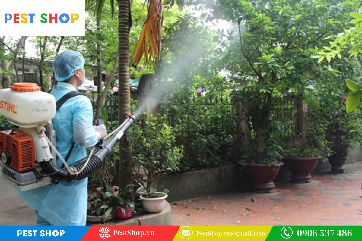 Duy trì lịch trình phun thuốc diệt muỗi nhắc lại sau mỗi 3 tháng