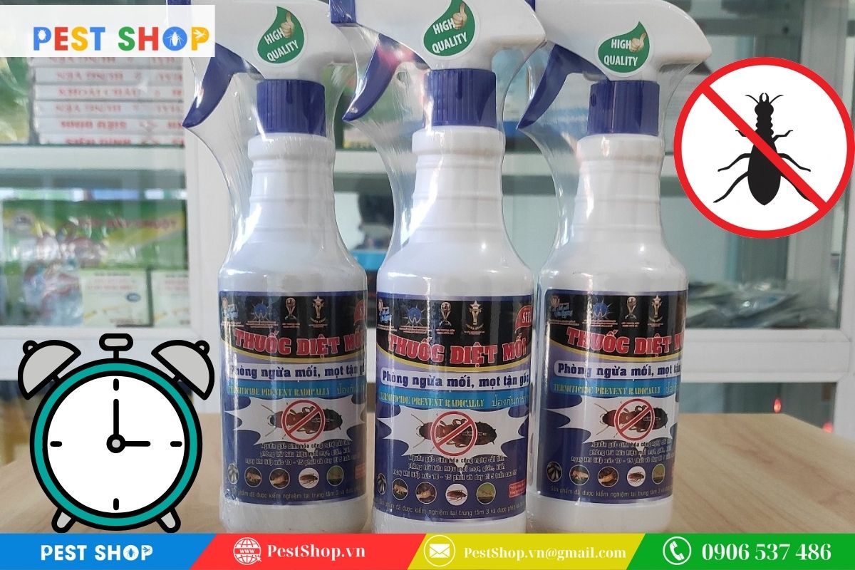 Thời gian cần thiết để thuốc thấm sâu tiêu diệt trứng mối