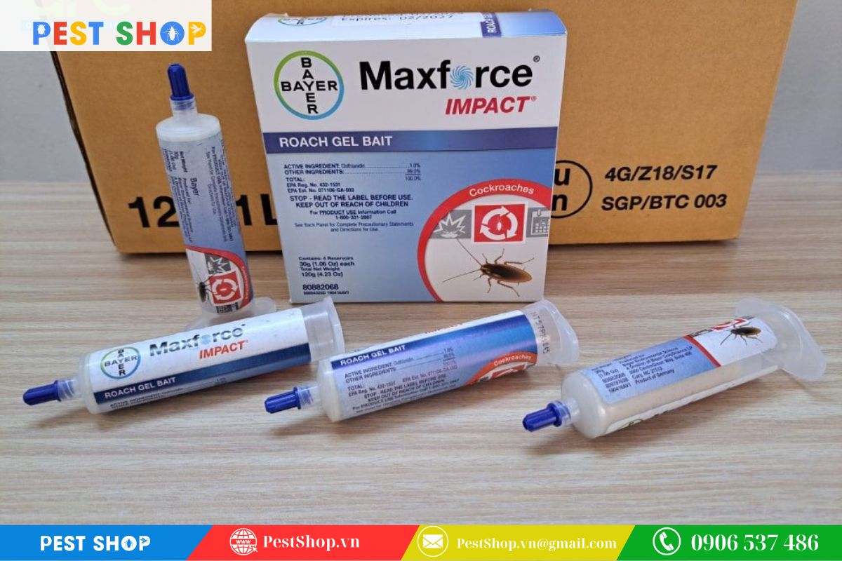 Cách bảo quản và lưu trữ thuốc diệt gián trong gia đình