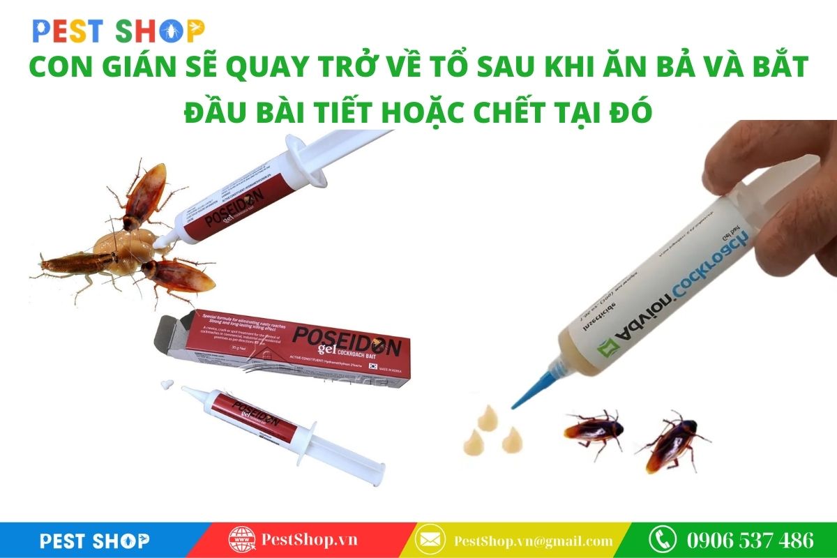 Hiệu ứng domino lây nhiễm tận gốc