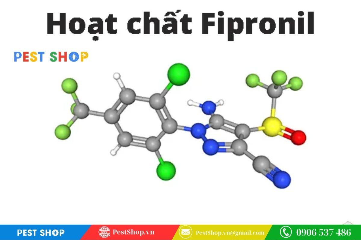 Phân loại mức độ độc tính theo tiêu chuẩn WHO