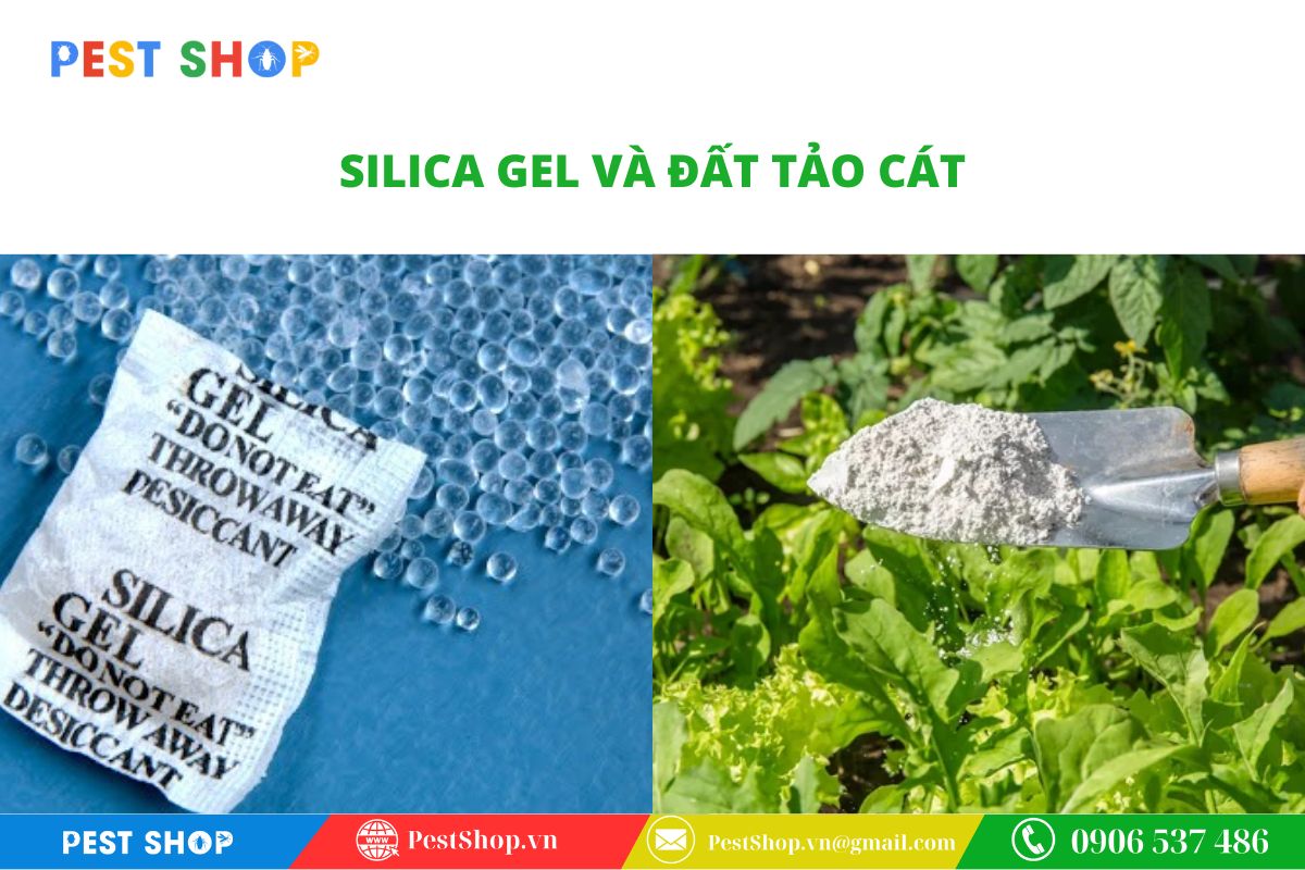 Silica Gel và đất Diatomaceous Earth 