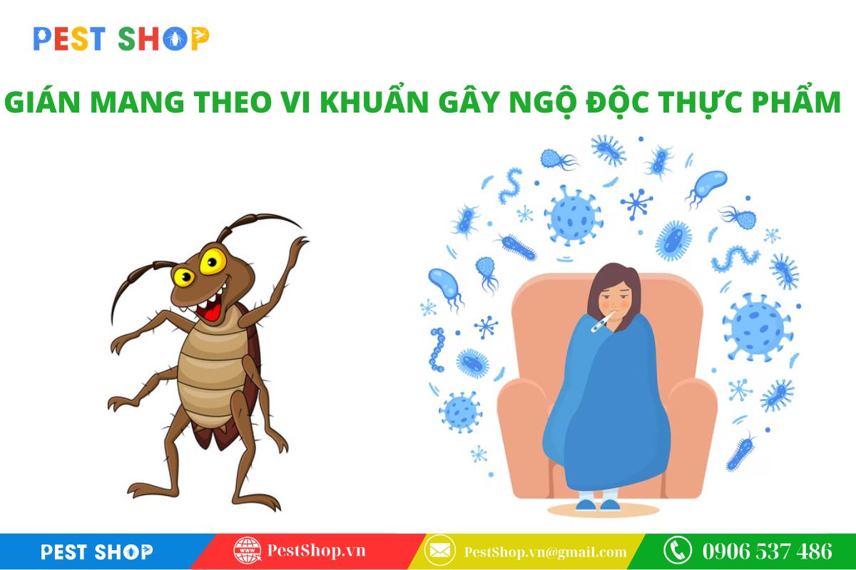 Tác nhân truyền nhiễm vi khuẩn và ngộ độc thực phẩm