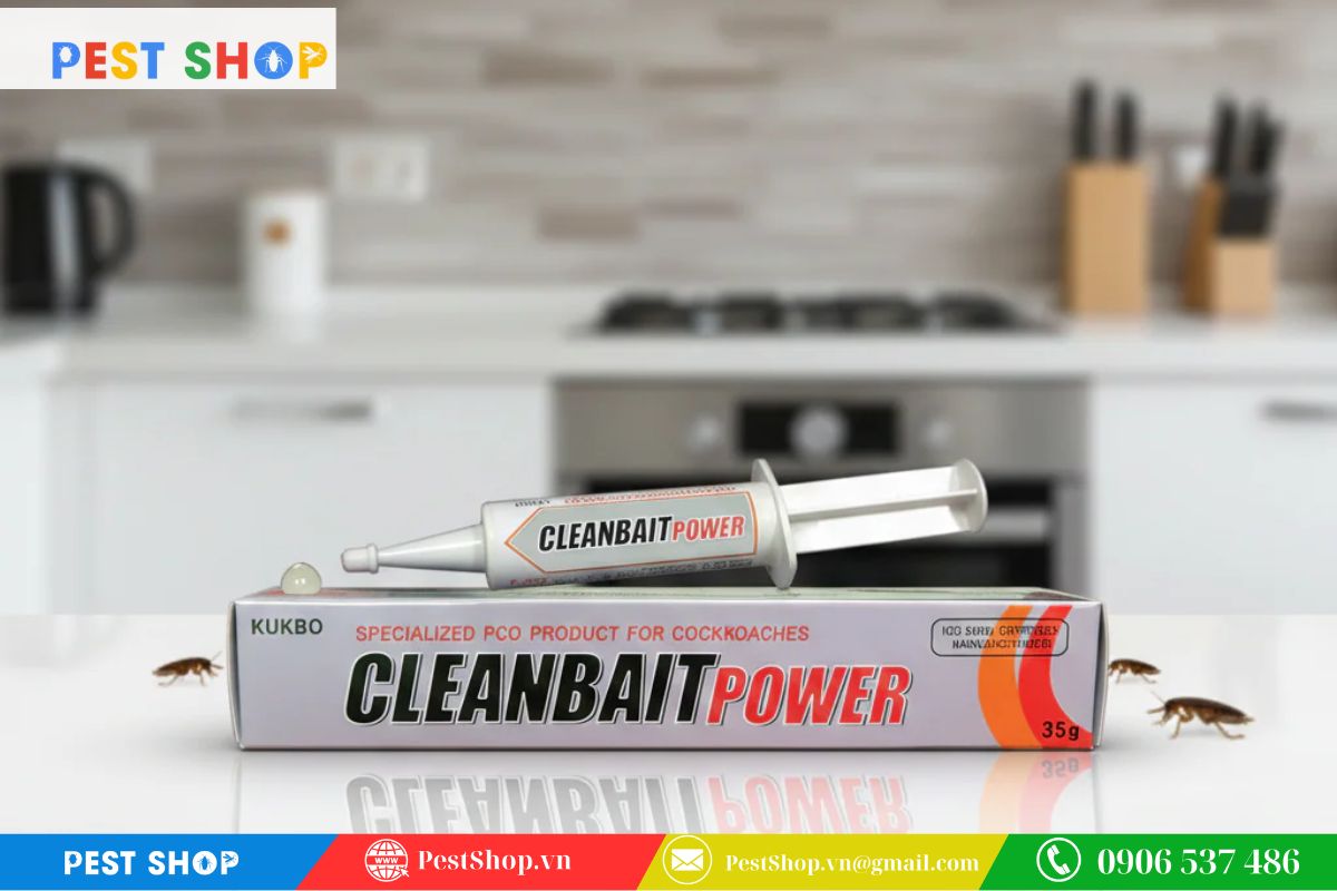 Lựa chọn thuốc dựa trên không gian sử dụng như nhà ở hay quán ăn