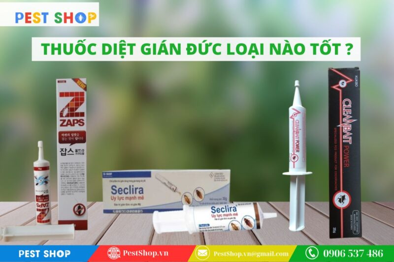 thuốc diệt gián đức loại nào tốt