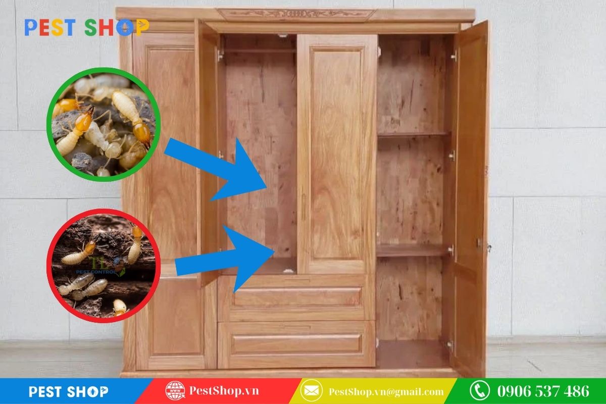 Lựa chọn dựa trên vị trí mối phá hoại là đồ nội thất hay nền móng