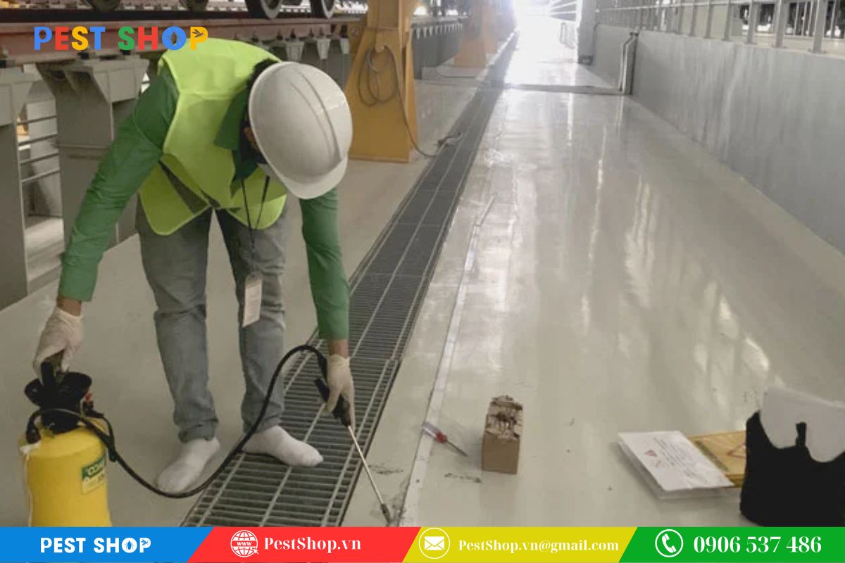 Cách pha và phun thuốc nước để tạo hàng rào bảo vệ bền vững