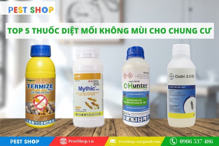 thuốc diệt mối không mùi cho chung cư