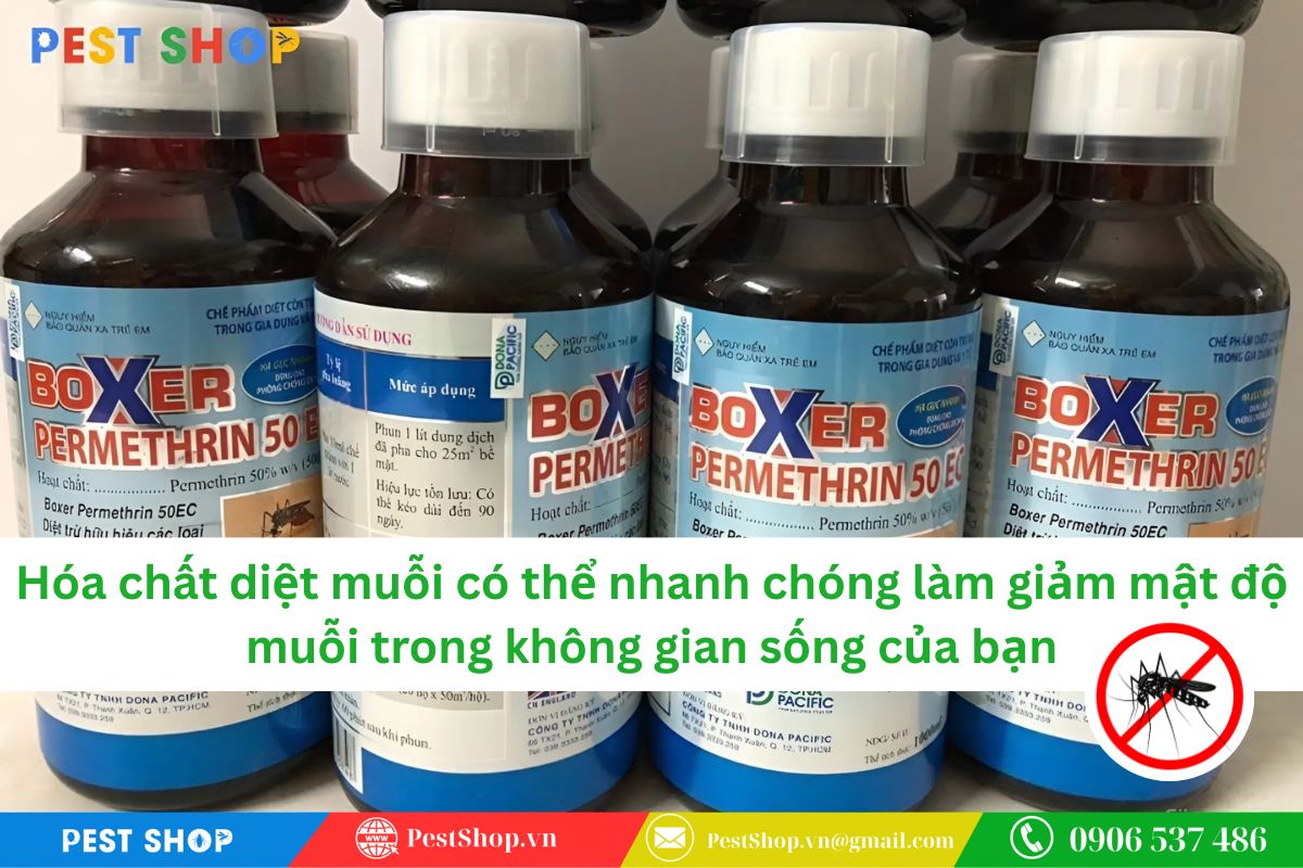 Vai trò của thuốc diệt muỗi trong phòng chống sốt xuất huyết