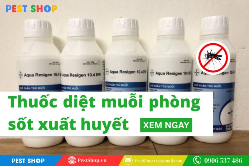 Thuốc diệt muỗi phòng sốt xuất huyết