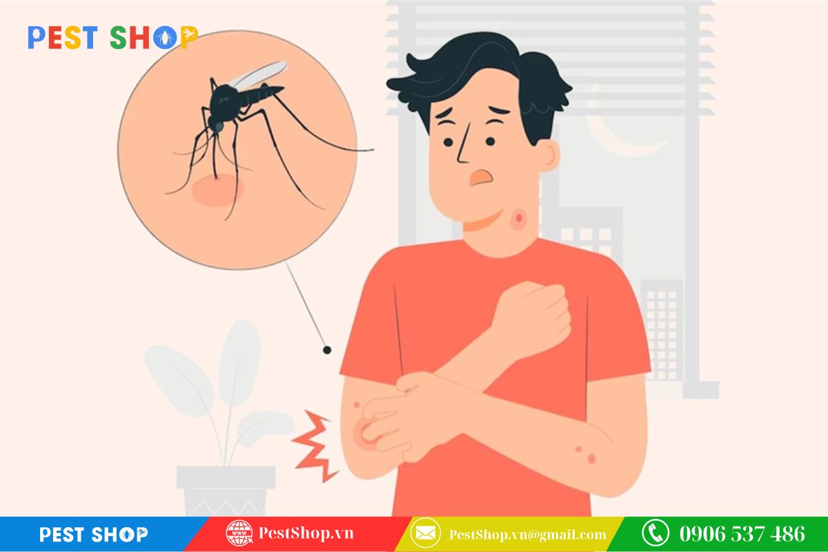 Dấu hiệu nhận biết sự hiện diện của muỗi trong nhà