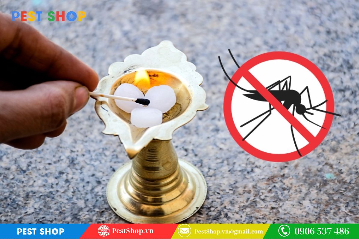 Cách đuổi muỗi bằng long não trong tủ đồ và không gian kín