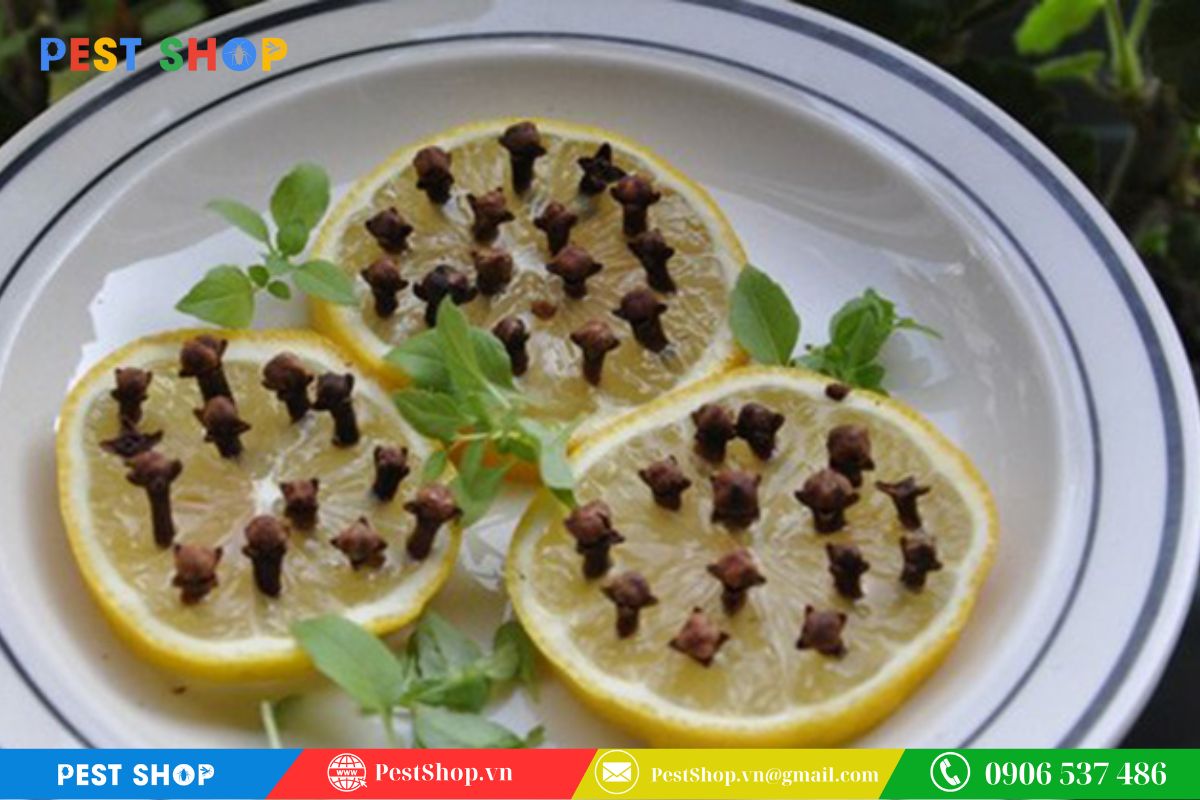 Diệt muỗi bằng chanh tươi và hoa đinh hương khô