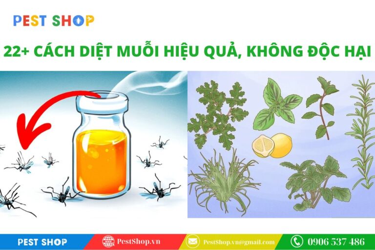 top cách diệt muỗi