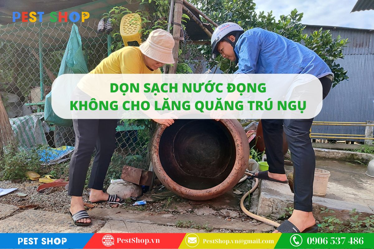 Loại bỏ hoàn toàn các vũng nước đọng và vật dụng chứa nước hở
