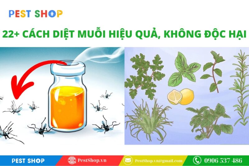 top cách diệt muỗi