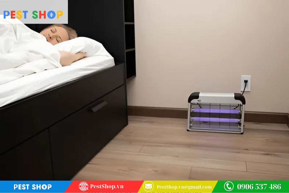 Những sai lầm thường gặp khi bố trí đèn diệt côn trùng