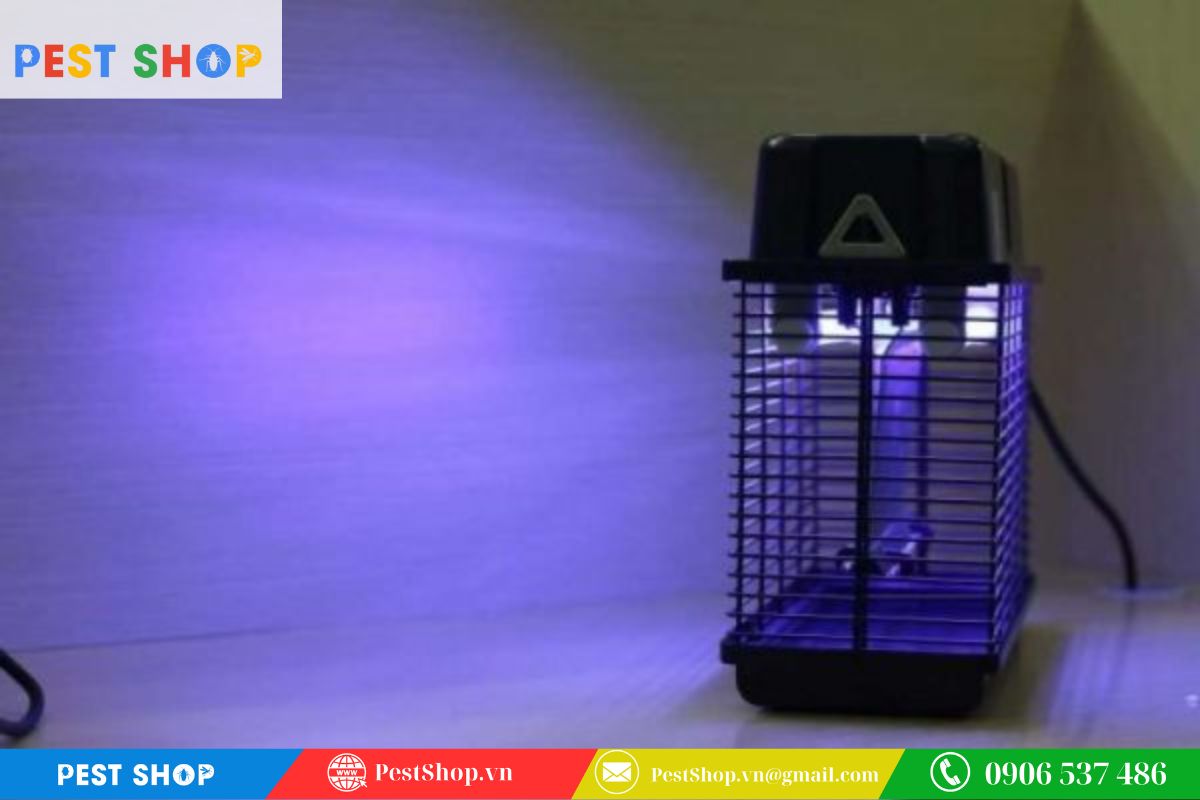 Côn trùng bị thu hút mạnh mẽ bởi ánh sáng tia cực tím