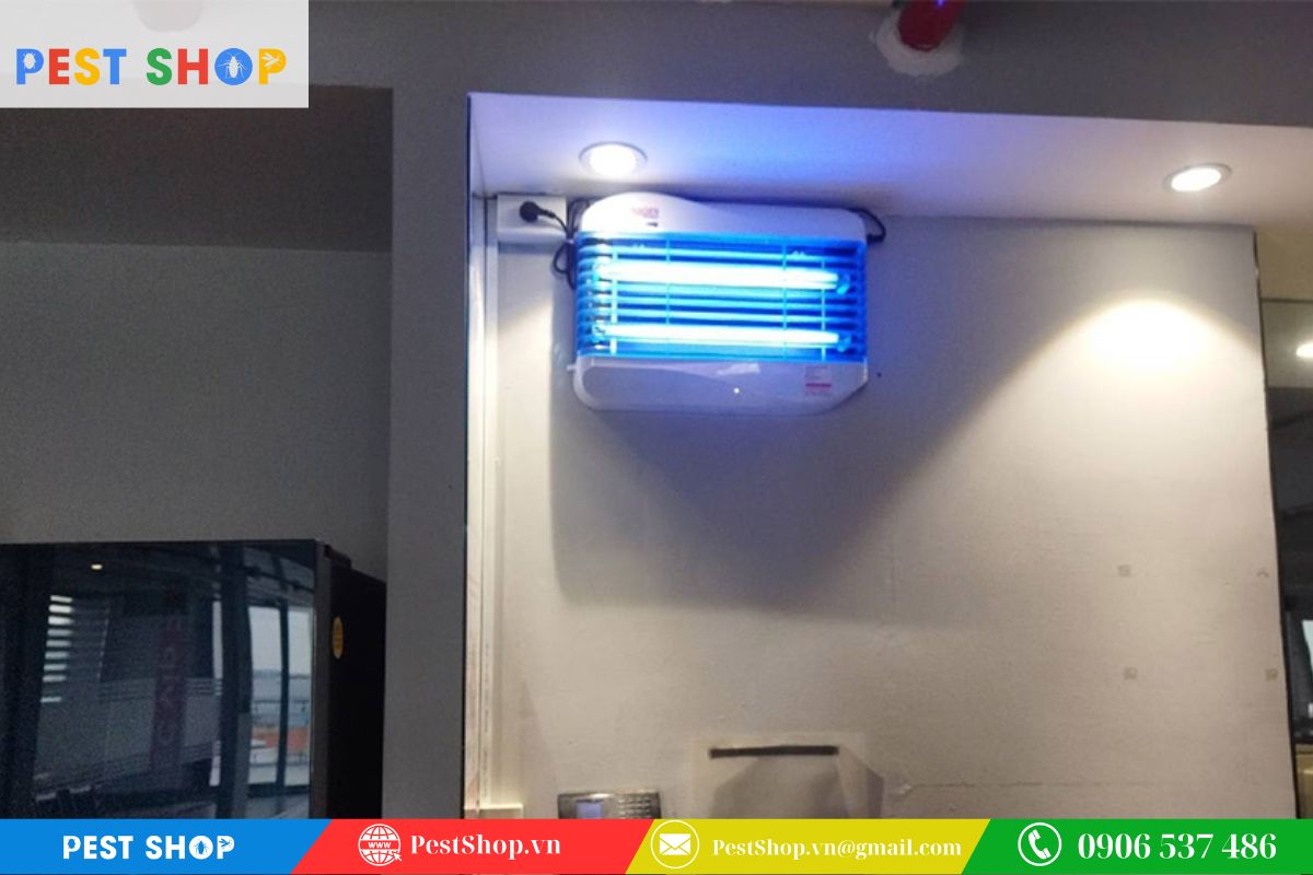 Độ cao lắp đặt tối ưu cho muỗi, các loại ruồi nhà và ruồi giấm