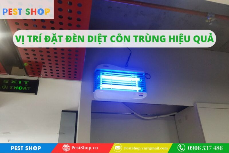 Vị trí đặt đèn diệt côn trùng hiệu quả