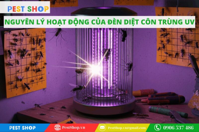 nguyên lý hoạt động của đèn diệt côn trùng uv
